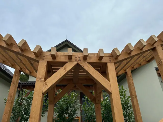 Pergola nad vstupným schodiskom – fotka 7